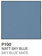 P100.JPG