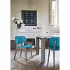 Стул Calligaris CLAIRE