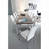 Стул Calligaris BESS