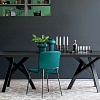 Стул Calligaris LOVE