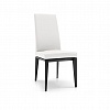 Стул Calligaris BESS