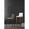 Стул Calligaris BESS