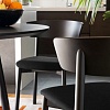 Стул Calligaris Clelia