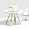 Стол Calligaris STECCO