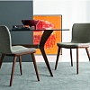 Стул Calligaris ANNIE